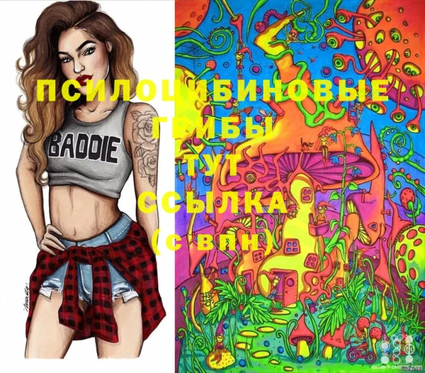 ешки Алзамай