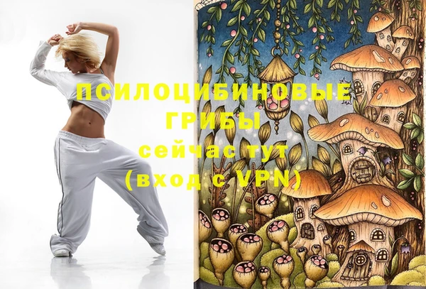 ешки Алзамай