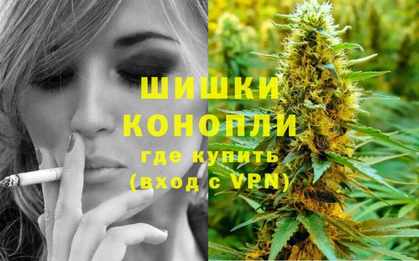 ешки Алзамай