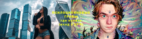 ешки Алзамай